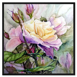 Gerahmter Kunstdruck Weiß-Lila Rose