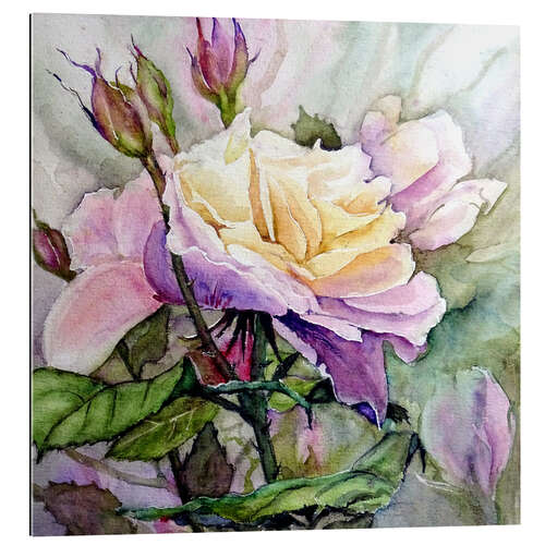 Gallery print White-Purple Rose