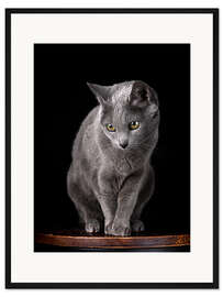 Gerahmter Kunstdruck Russisch Blau neugierig