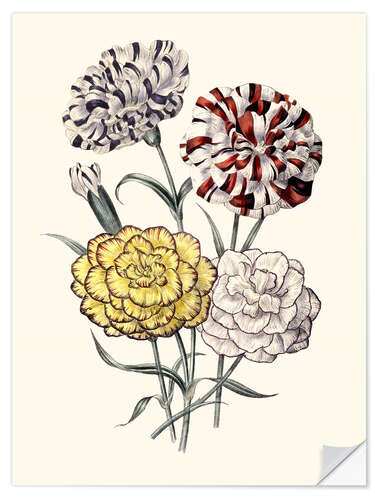 Sisustustarra A variety of Carnations, 1843