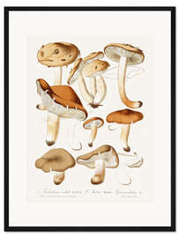 Gerahmter Kunstdruck Pilze, 1860