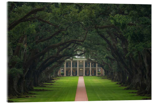 Akryylilasitaulu Path through the Oak Alley Plantation