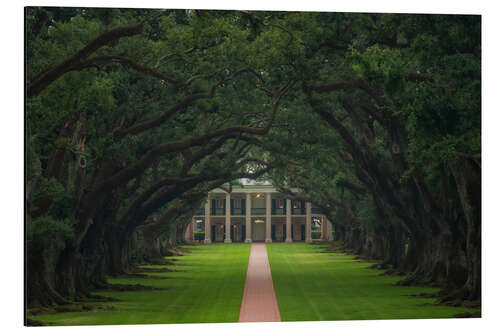 Aluminiumsbilde Path through the Oak Alley Plantation