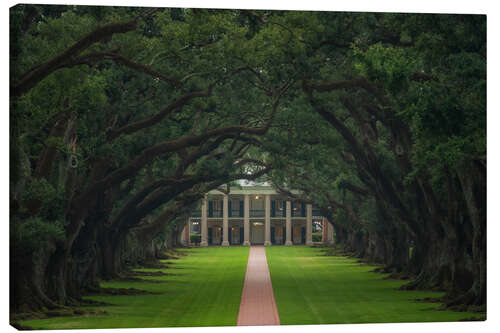 Canvastavla Path through the Oak Alley Plantation