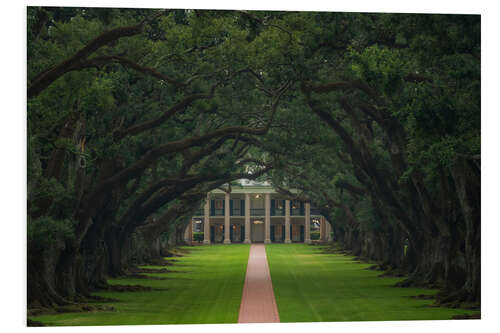 Tableau en PVC Path through the Oak Alley Plantation