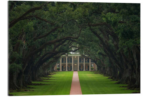 Gallery Print Weg durch die Oak Alley-Plantage