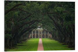 Tableau en plexi-alu Path through the Oak Alley Plantation