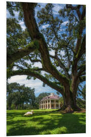 Tableau en PVC Mansion in Louisiana