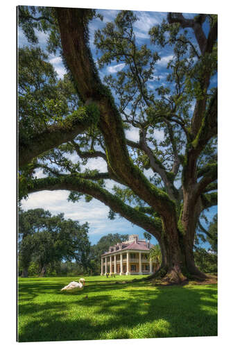 Gallery print Mansion in Louisiana