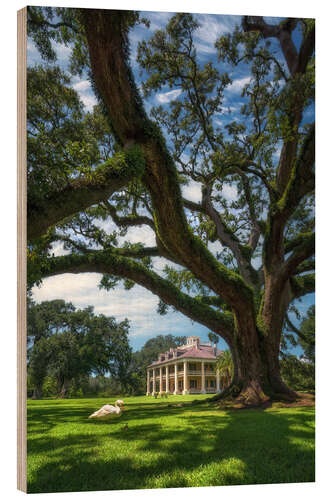 Holzbild Landhaus in Louisiana