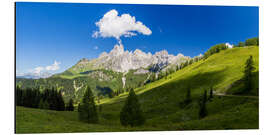 Aluminium print Alpine summer in the Dachstein area