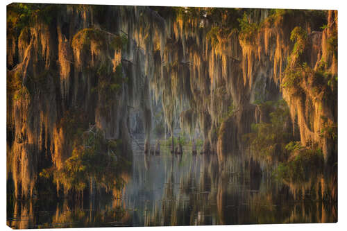 Lerretsbilde Glowing Sunrise in the Swamps