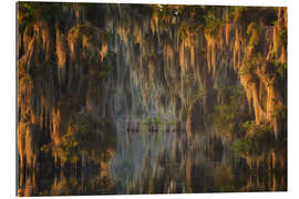 Gallery print Glowing Sunrise in the Swamps