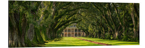 Aluminiumsbilde Oak Alley Plantation, Panorama