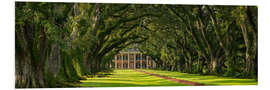 Bilde på skumplate Oak Alley Plantation, Panorama