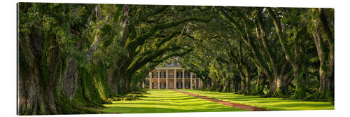 Gallery print Oak Alley Plantation, Panorama