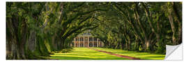 Naklejka na ścianę Oak Alley Plantation, Panorama