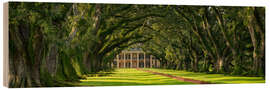 Wood print Oak Alley Plantation, Panorama