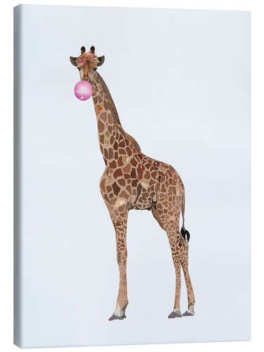 Lærredsbillede Funny Giraffe with Bubble Gum