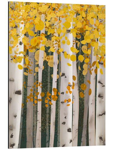 Aluminiumtavla Autumn Birch Forest