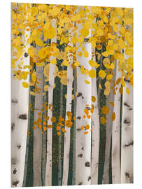 Foam board print Autumn Birch Forest