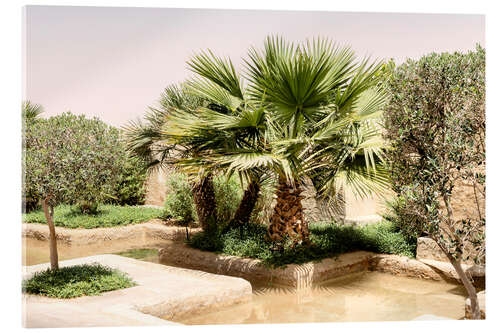 Acrylglas print Desert Home - Oasis Garden