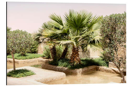 Obraz na aluminium Desert Home - Oasis Garden