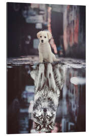 Gallery print Dream Big - Little Puppy Becomes a Wolf