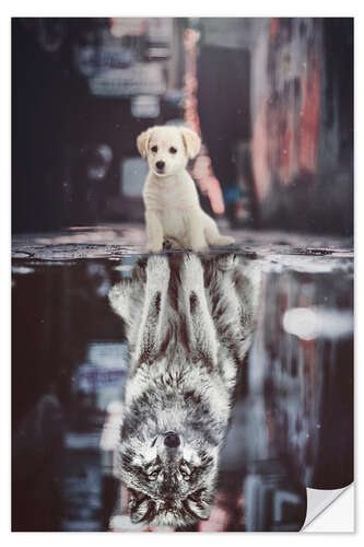 Sisustustarra Dream Big - Little Puppy Becomes a Wolf