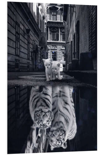 Foam board print Dream Big - Two Kittens Become Tigers