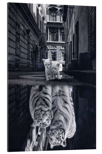 Galleriprint Dream Big - Two Kittens Become Tigers