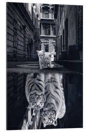 Gallery print Dream Big - Two Kittens Become Tigers