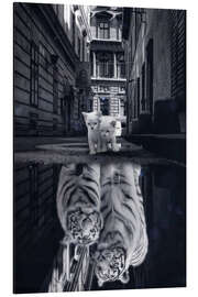 Magnettafel Dream Big - aus Kätzchen werden Tiger