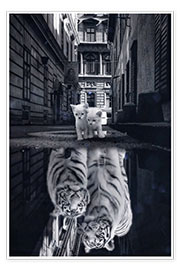 Wandbild  Dream Big - aus Kätzchen werden Tiger - Gen Z