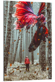 Aluminium print Encounter with a giant Betta Fish