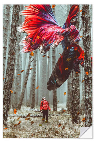 Wall sticker Encounter with a giant Betta Fish