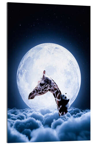 Quadro em plexi-alumínio Giraffe and Panda over the Clouds