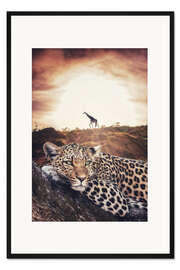 Gerahmter Kunstdruck Leopard und Giraffe in der afrikanischen Savanne