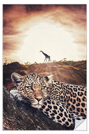 Wall sticker Leopard and Giraffe in the African Savanna