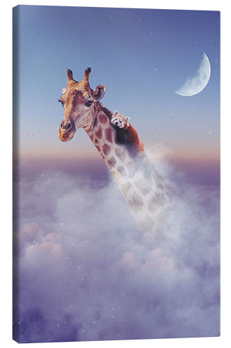 Canvas print Giraffe and Red Panda above the Clouds