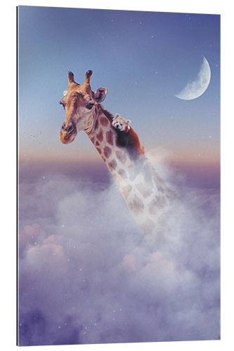 Gallery print Giraffe and Red Panda above the Clouds