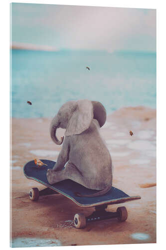 Acrylglas print Little Elephant rides a Skateboard