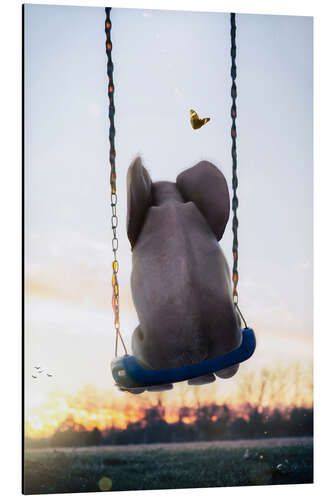 Tableau en aluminium Little Elephant rocks on a Swing