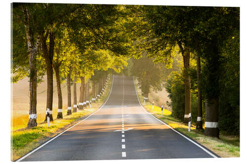 Acrylic print Avenue in the morning light