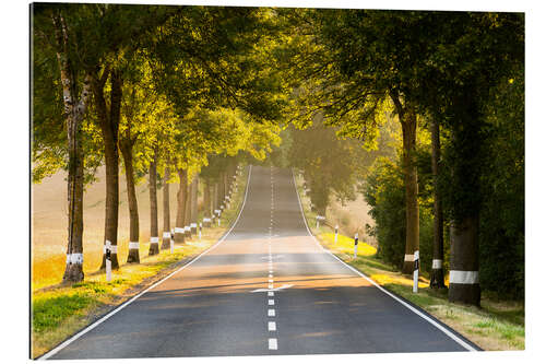 Tableau en plexi-alu Avenue in the morning light