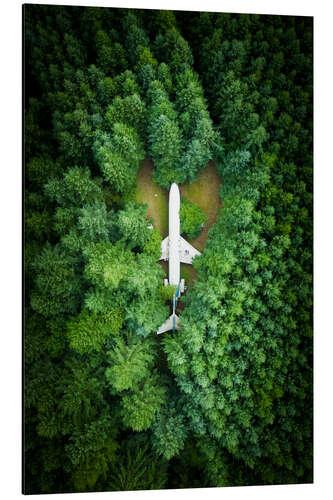 Aluminiumsbilde Aircraft in the pine forest