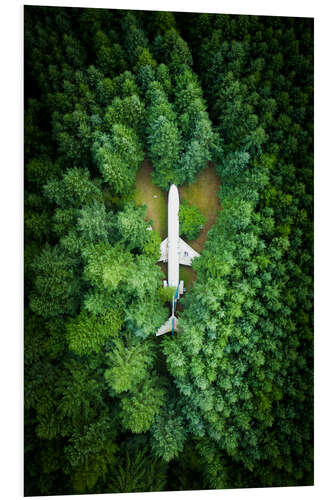 Bilde på skumplate Aircraft in the pine forest