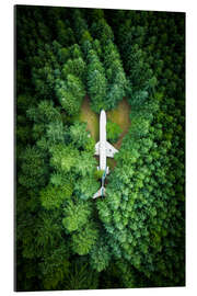 Galleritryk Aircraft in the pine forest