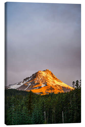 Canvastavla Mount Hood at sunrise