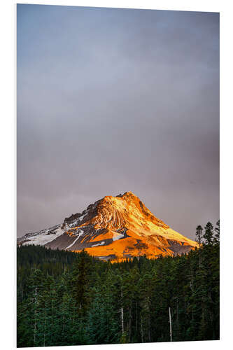 Foam board print Mount Hood at sunrise